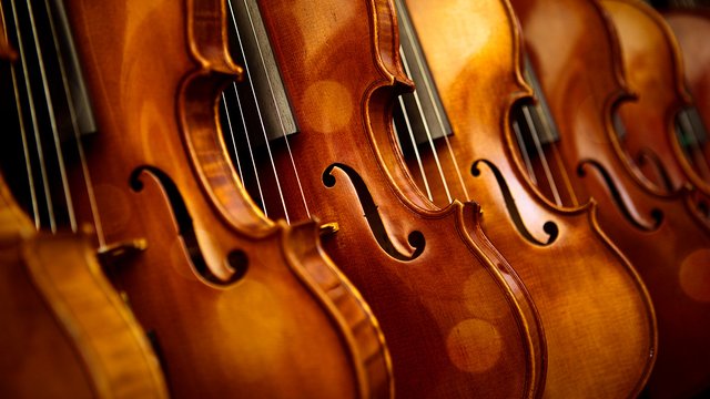 如何分辨小提琴材料的产地